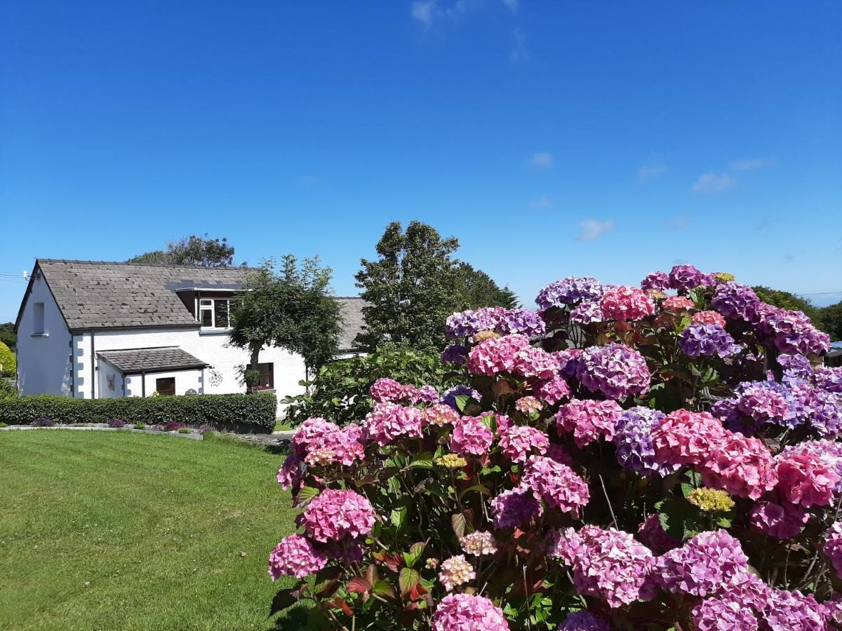 Trenewydd Farm Holiday Cottages Cardigan Exterior foto