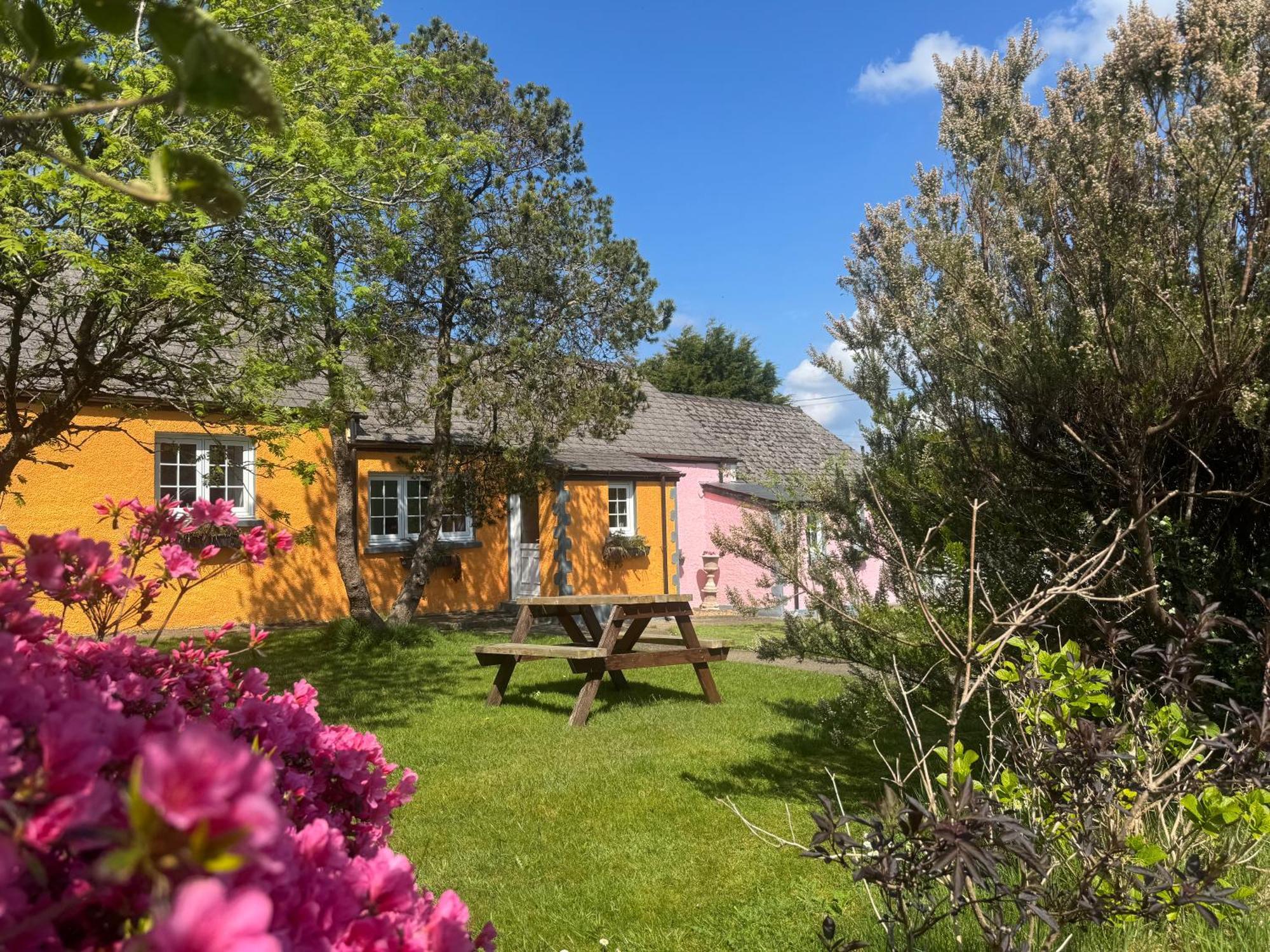 Trenewydd Farm Holiday Cottages Cardigan Exterior foto